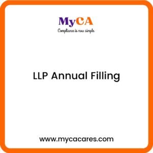 LLP Annual Filling