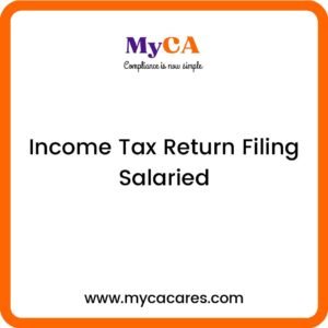 Income Tax Return Filing Salaried